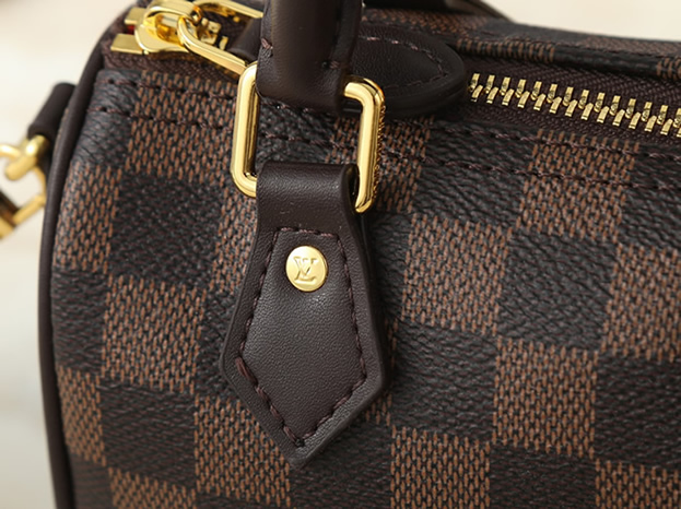 ルイヴィトン ダミエ エベヌ ハンドバッグ ゴールド金具 M81085 - 画像 (5)